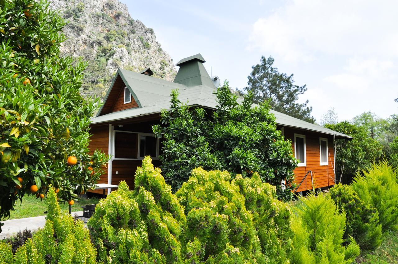 Arcadia Villas Чирали Екстер'єр фото